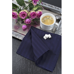 Набор столовых салфеток Iris Home - Темно-синий сатин страйп 1*1 50*50 (6 шт), , 5