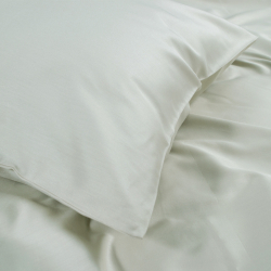 Постельное белье Dantela Vita сатин с вышивкой - Moneda mint ментоловый евро, , 10